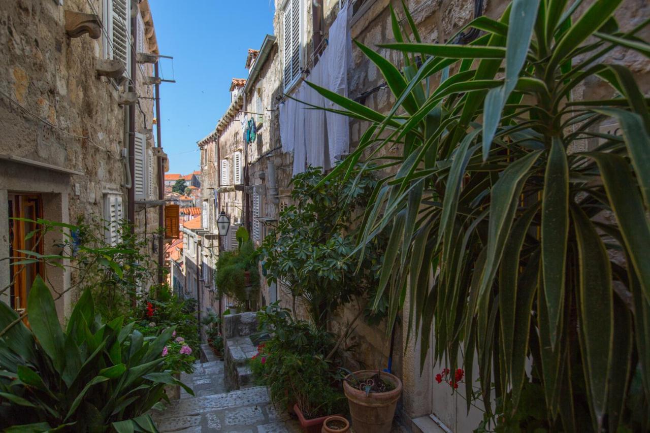 דוברובניק Apartman Mama Marija מראה חיצוני תמונה